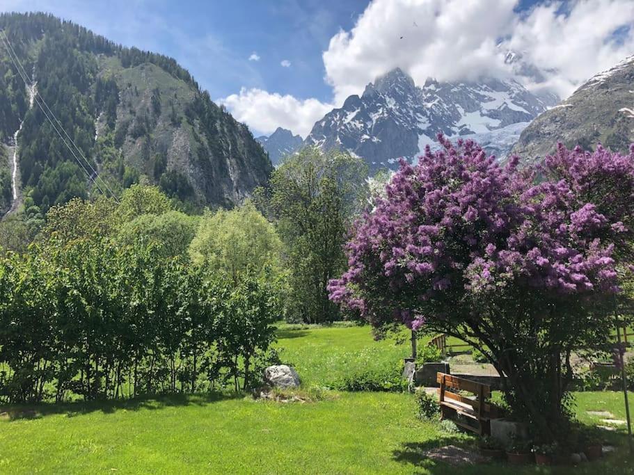 Appartamenti Vista Monte Bianco Courmayeur-Entreves Eksteriør bilde